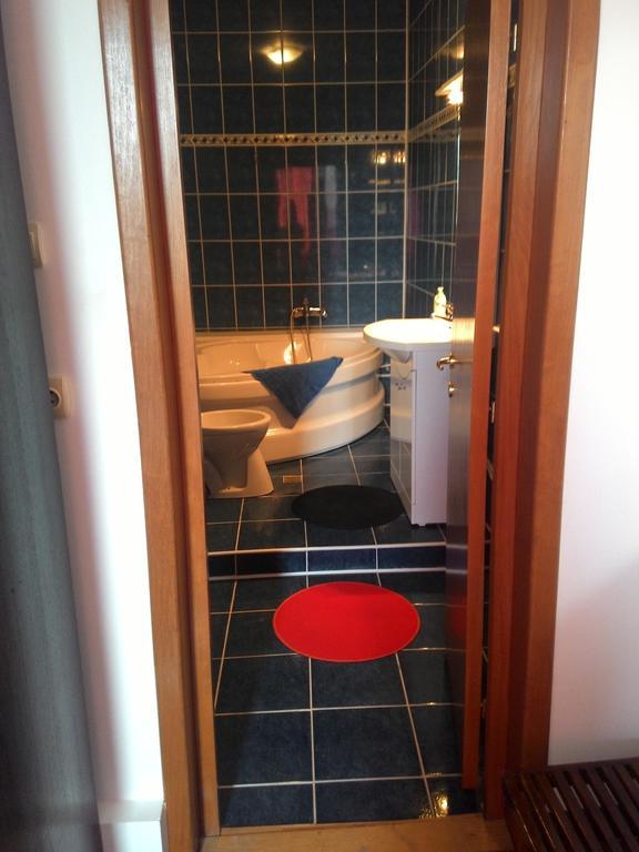 Casa Radu Snagov Quarto foto